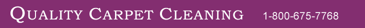 Quality Carpet Cleaning 1-800-675-7768